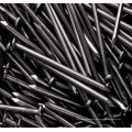 Polished Common Iron Nail Galvanized Steel Common Nail